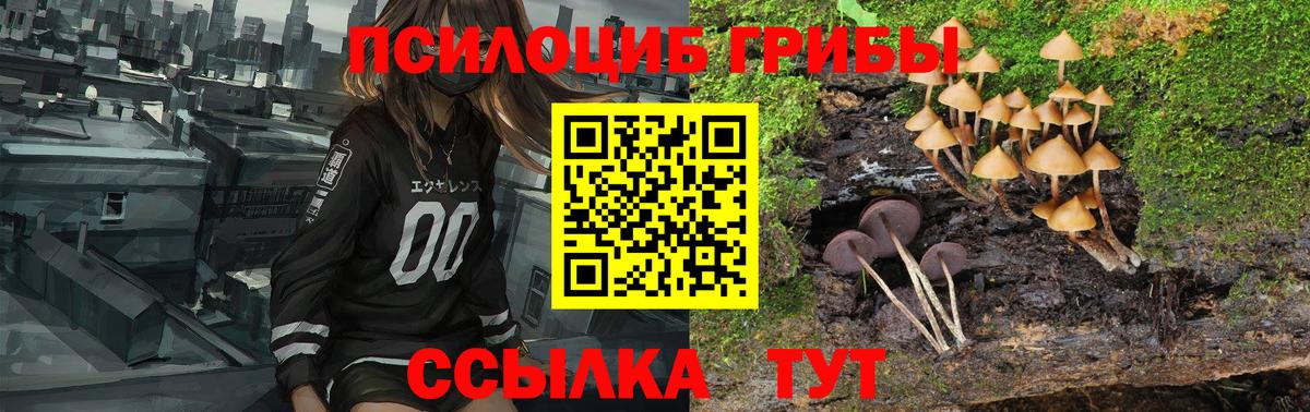 Псилоцибиновые грибы Cubensis  Вход с VPN  Брянск 