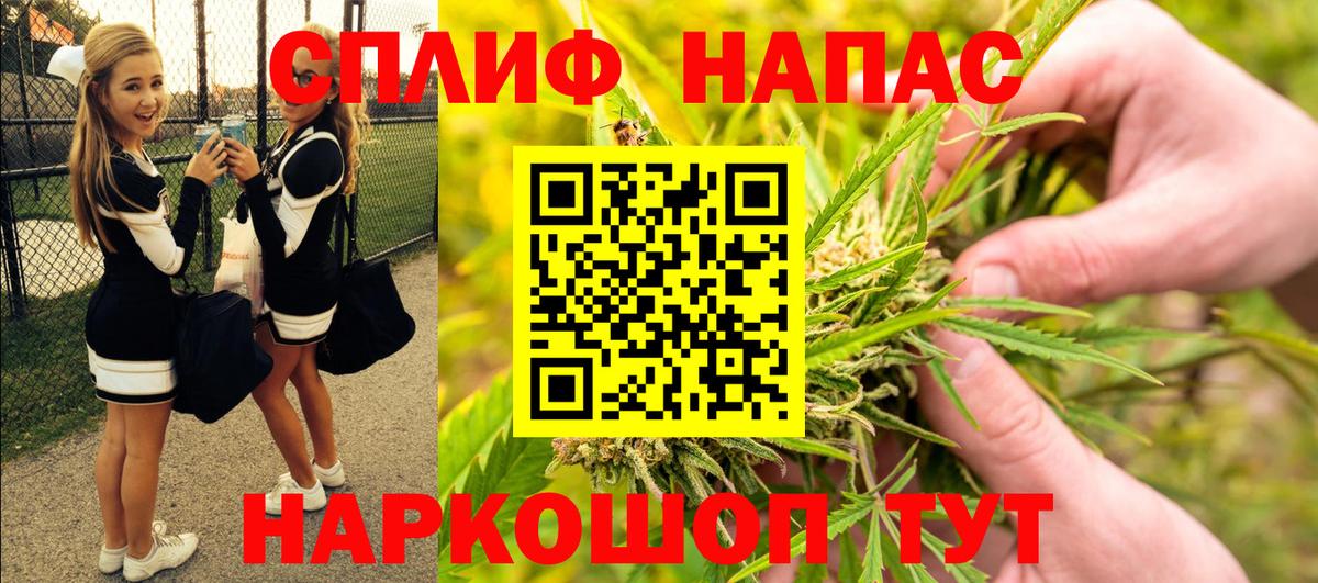 Марихуана конопля Брянск